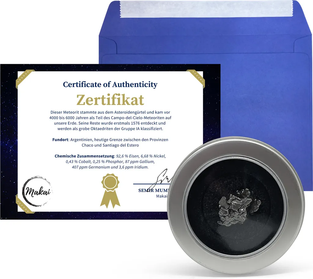 Pierre de Météorite Naturelle Sidérite en Coffret Cadeau de Collection