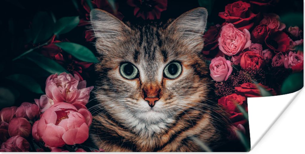MuchoWow Poster Katze - Blumen - Tiere - Botanisch 40x20 cm - Poster für die Wand - Poster Schlafzimmer