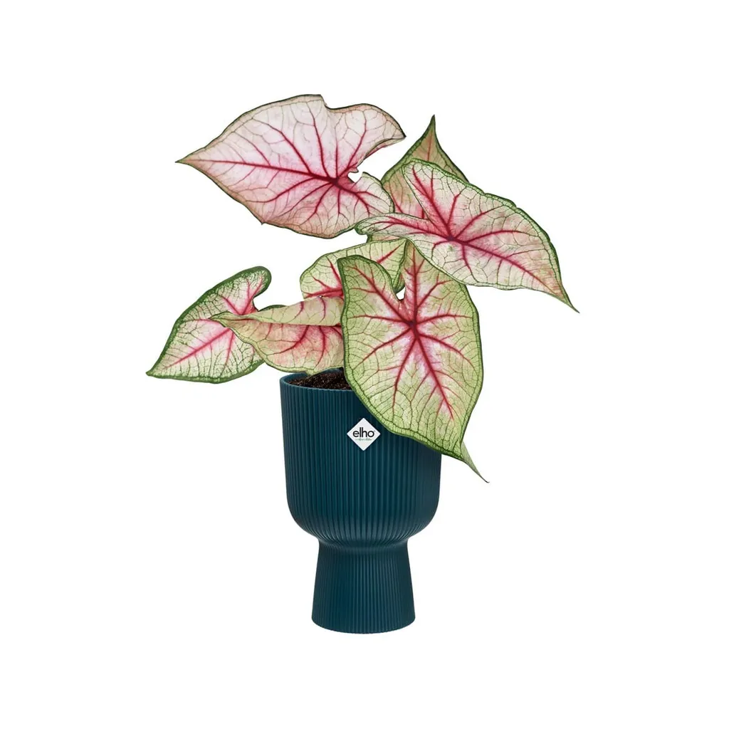 elho® Vibes Cache-pot Fold Cup bleu profond Ø 14 cm en plastique recyclé