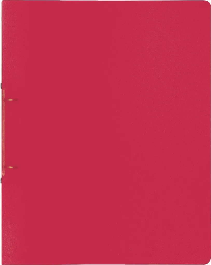 BRUNNEN 106550523 Classeur à anneaux A4 25mm 2 anneaux rouge intense