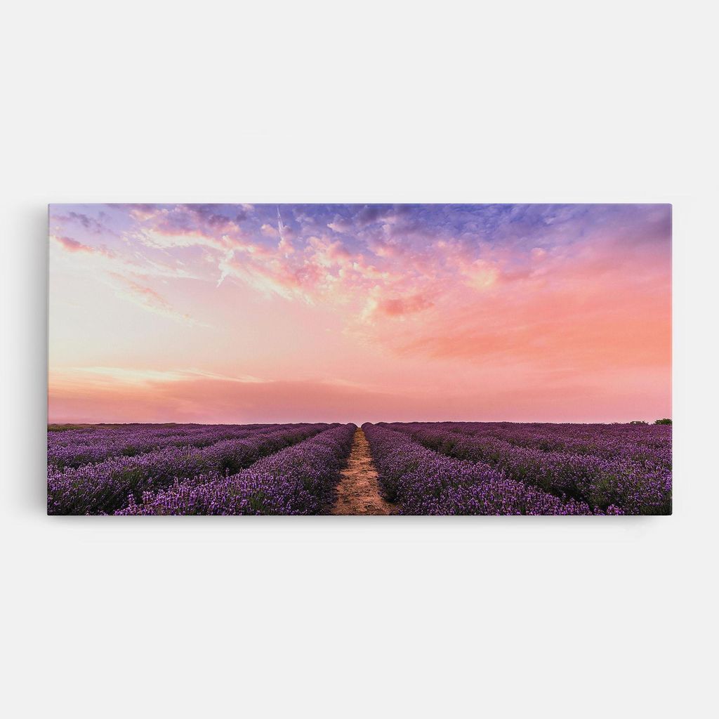 ARTHUB Leinwandbild 40x80 cm, Lavender Field | Wohnzimmerdekoration, Hängende Bilder, Wanddekoration, Heimdekoration, Landschaften, Wälder