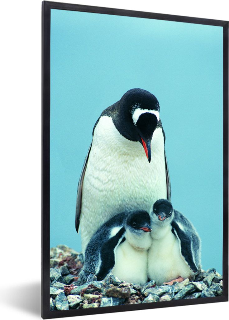 MuchoWow MuchoWow Gerahmtes Poster Tiere - Pinguine - Küken 20x30 cm - Poster mit zchwarzem Bilderrahmen - Drucken - Bilder Poster im Rahmen