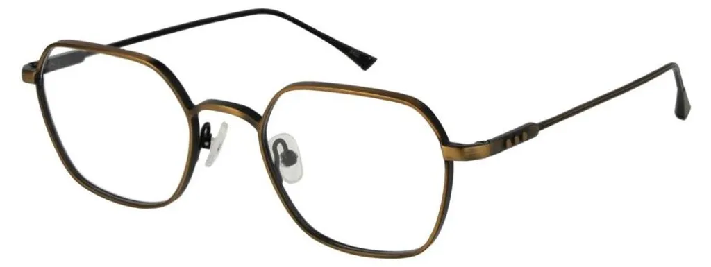 Lunettes Taylor Morris TM02 48C3 Idéales pour la Conduite et la Ville
