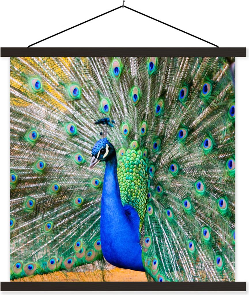 MuchoWow Textilposter Pfau - Federn - Blau 40x40 cm mit schwarzem Rahmen - Fotos