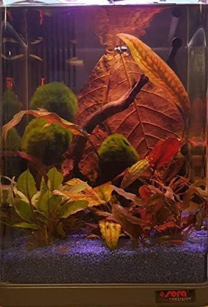 sera Nano LED Cube 16L avec éclairage LED basse consommation performant - 3