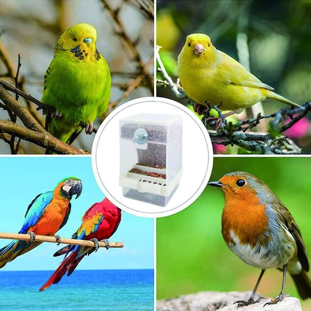 4x Edelstahl Futterspender Für Papageien - Mit 2 Sitzstangen - 10cm Schalen Für Vogelkäfig