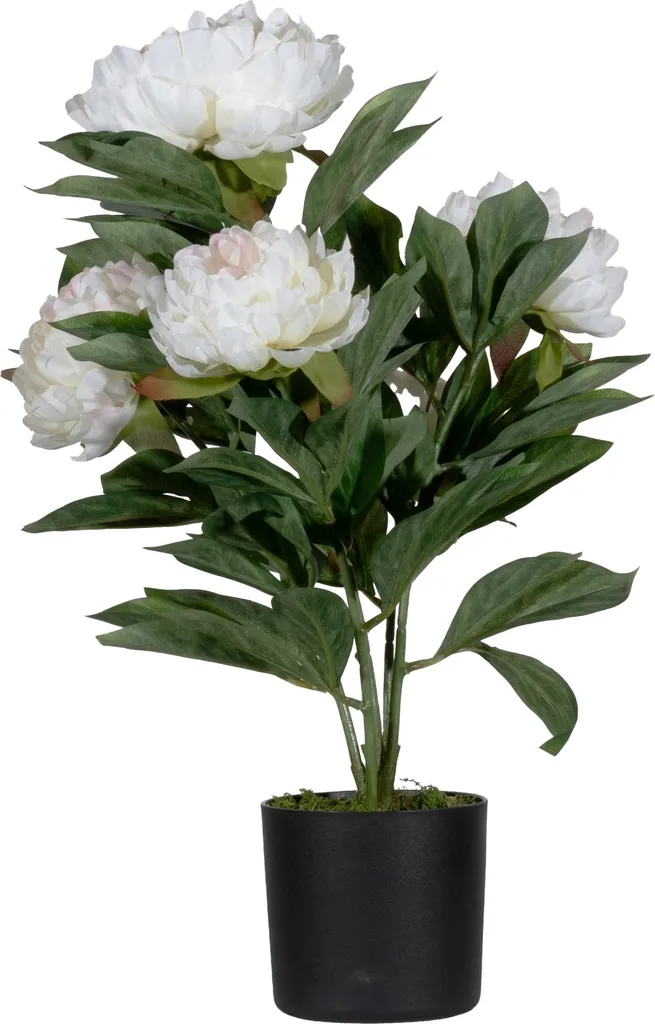Pivoine Artificielle Rose 55cm - Ne Fane Jamais, Décoration Sans Eau