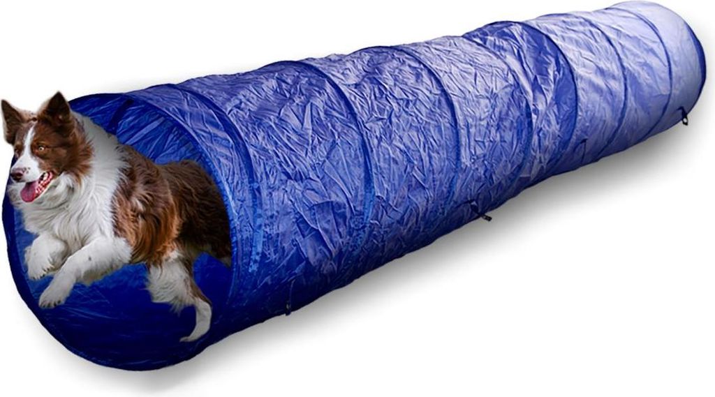 maxxpro Tunnel pour chiens Agility Set, Pliable, Léger, Image du produit 