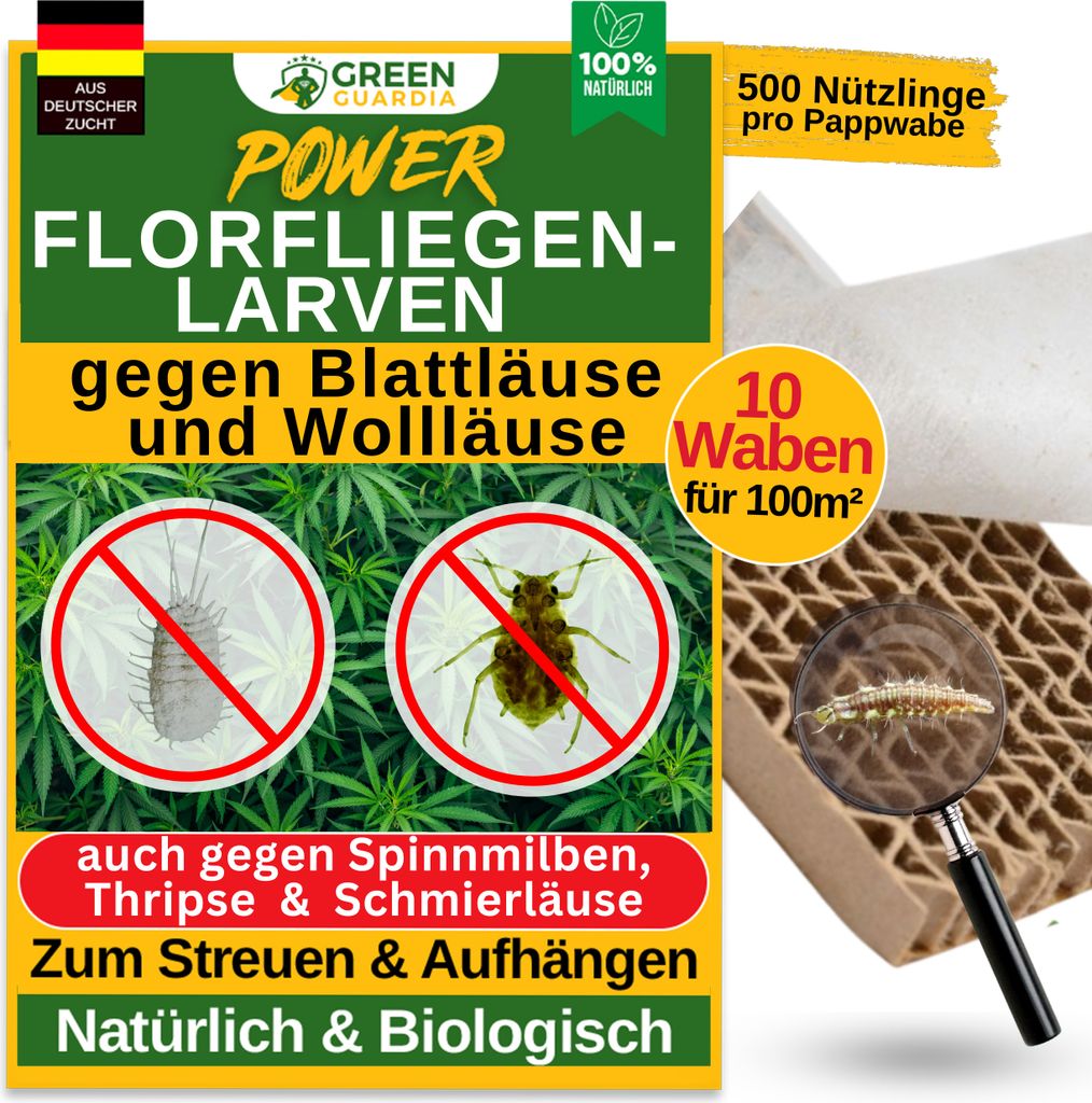 Power Florfliegenlarven gegen Blattläuse und Wollläuse –10 Wabe für 100 m²- Mittel zur Wollläuse Bekämpfung für Zi.Pflanzen & Cannabis,GRE...
