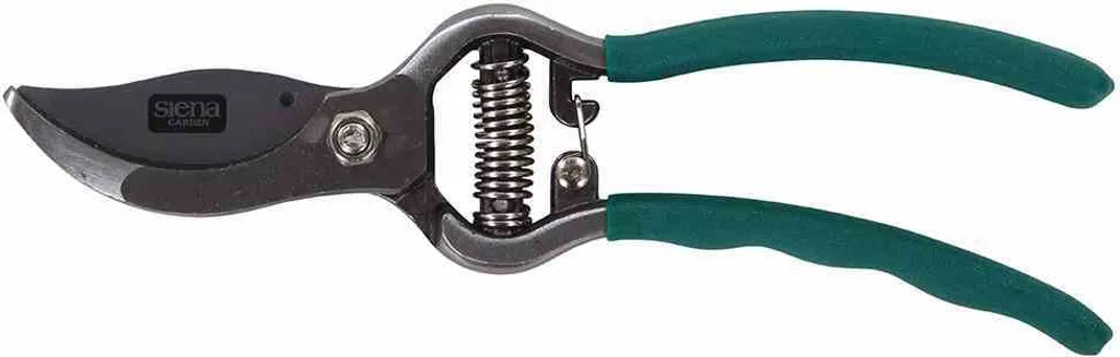 Forbici Siena Garden CG2080 per Potatura - Il Tuo Compagno di Giardino