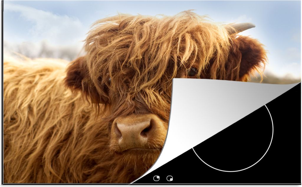 KitchenYeah Herdabdeckplatte Tiere - Schottischer Highlander - Braun , 80x52cm, Küche Deko, Glaskeramikkochfeld Herdabdeckung, Abdeckplatte fùr...