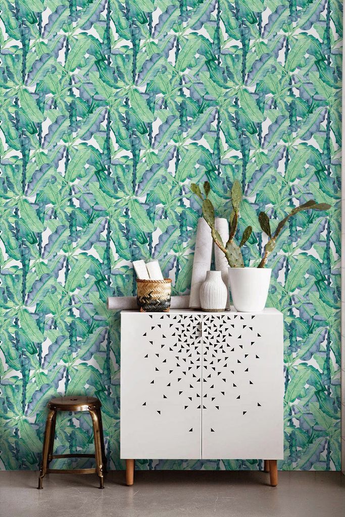 Coloray Fototapete 250x104 cm Vlies-Fototapete - Aqua Banana Bananenblatt