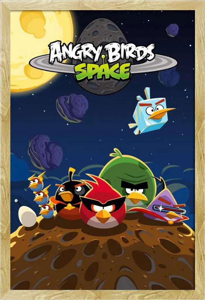 Tableau Angry Birds Space encadré Shinsuke en bois de hêtre et acrylique
