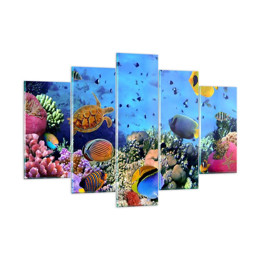 Bilder auf glas - Korallenriff - 150x100cm - Glasbilder - Wandbilder - Kunstdruck - zum Aufhängen bereit - Wanddekoration aus Glas - Glas Bilder -...