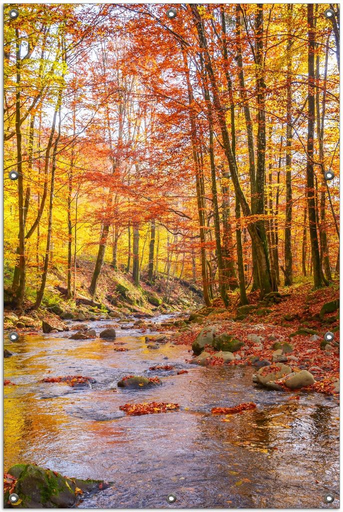 Wallario Outdoor-Poster für Garten oder Balkon, Motiv Herbstwald mit Bach, in ca. 100 x 150 cm