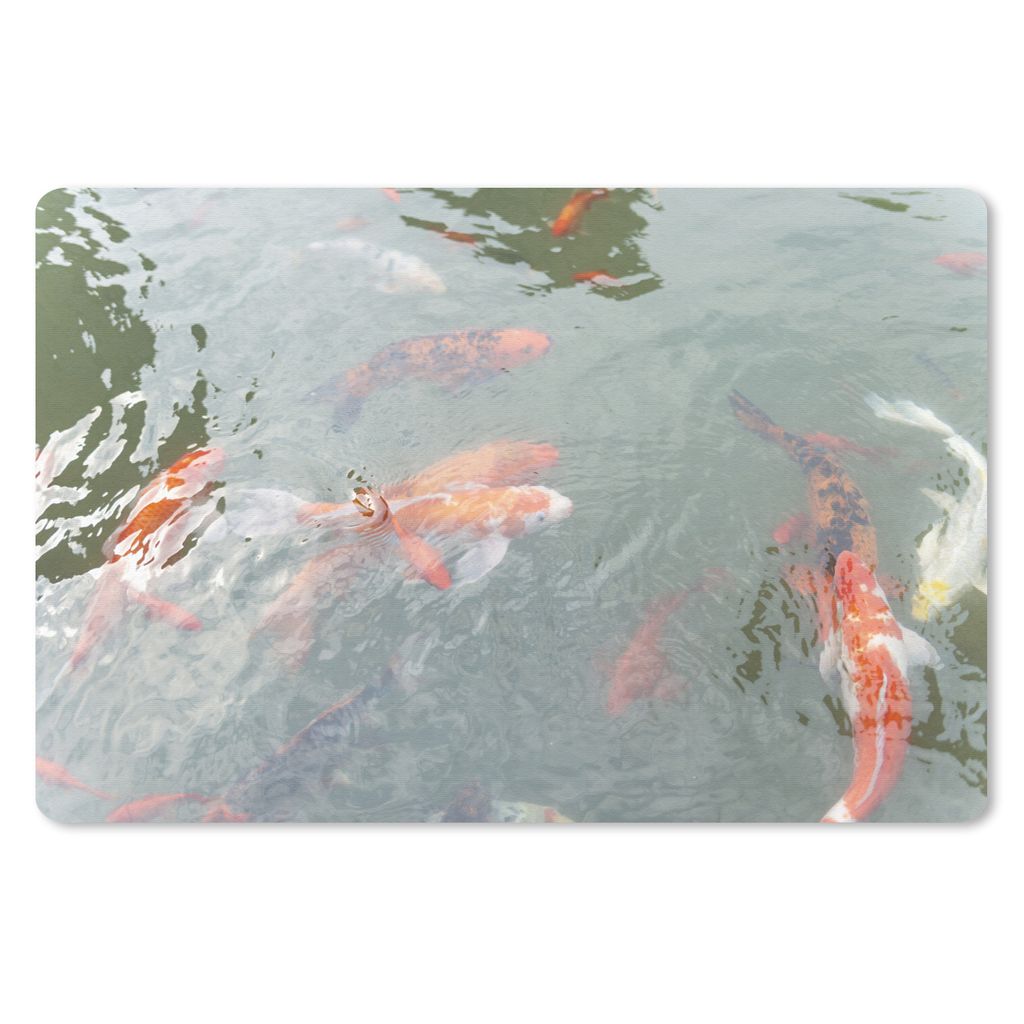 MuchoWow Schreibtischunterlage Eine Gruppe von Koi-Karpfen in einem Teich 60x40 cm - XXL Mauspad - Großes Mauspad