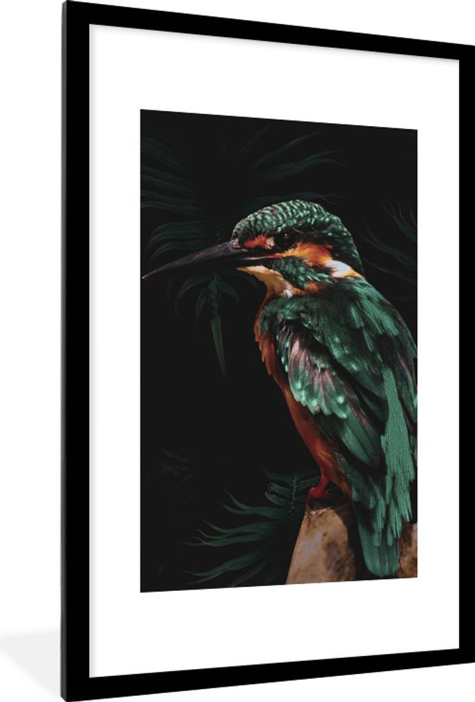 MuchoWow® MuchoWow® Gerahmtes Poster Eisvogel - Zweig - Produktbild 