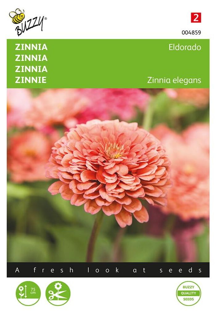 Zinnie Eldorado | Zinniensamen von Buzzy Seeds