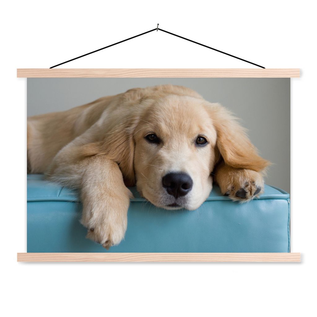 MuchoWow Textilposter Ein liegender Golden Retriever 60x40 cm mit holzfarbenen Rahmen - Bilder