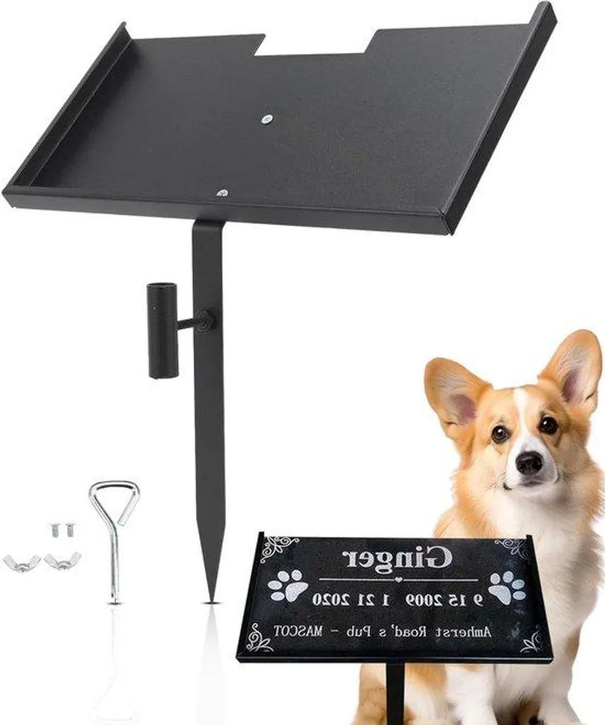 Support en fer Pierre Comtale 12x6x0,5 pouces pour souvenir d'animaux