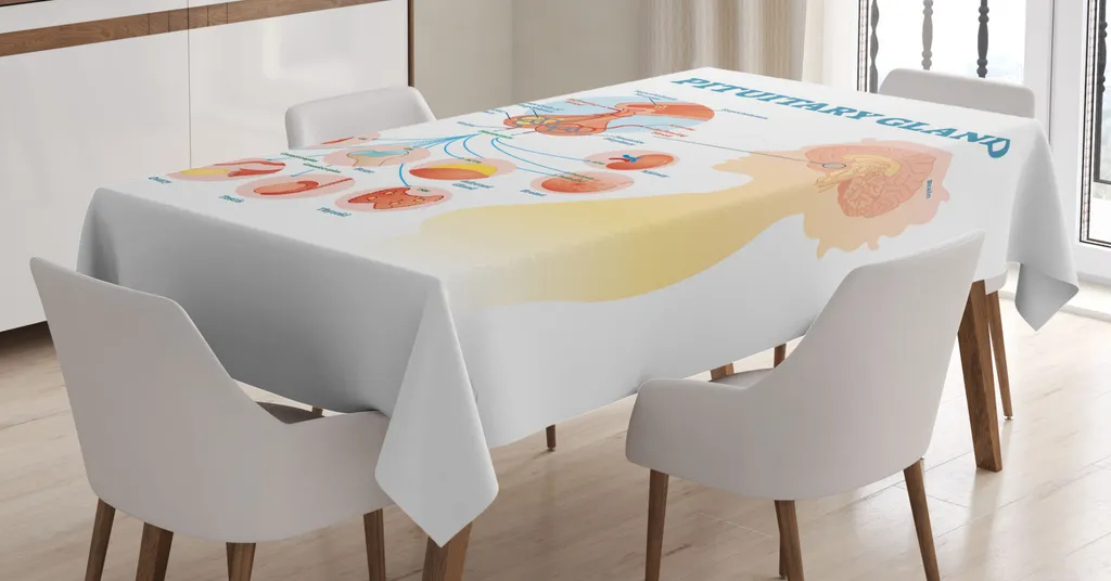 Tovaglia Antimacchia ABAKUHAUS 140x240cm - Tessuto Alta Durata