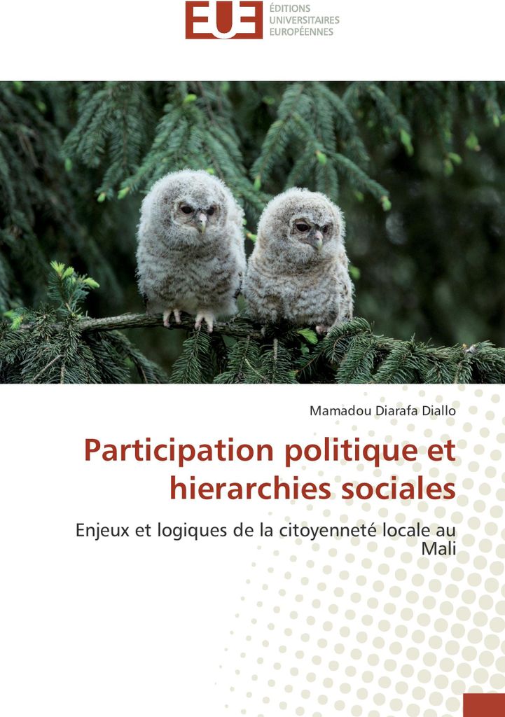 Participation politique et hierarchies sociales