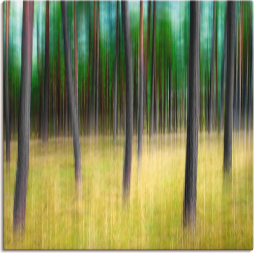 ARTland Leinwandbild Kiefernbäume Größe: 50x50 cm