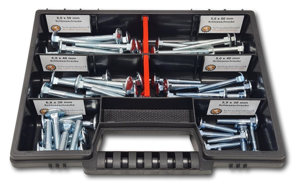 Flachkopfschrauben Sortiment M5-M6 // 30mm-50mm 60 tlg. Produktbild 