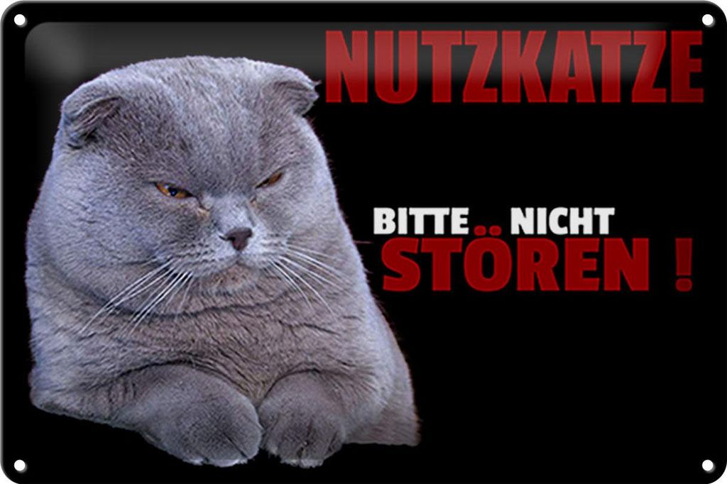 Blechschild Spruch 30x20cm Nutzkatze bitte nicht stören schwarz