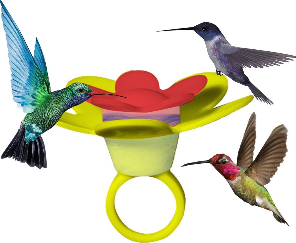 Blume Hummingbird Ring Feeder zieht und bewundern süße Kolibris aus der Nähe von Traga Vogelfuttervogelversorgung