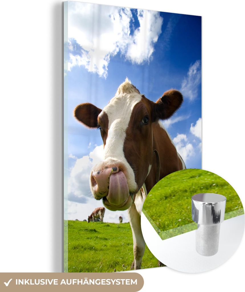 MuchoWow Glasbilder - Bilder auf Wandbild - Foto auf Glas Kuh - Bauernhof - Gras 40x60 cm Wanddekoration aus Glas - Acrylglasbild - Acrylbilder - G...