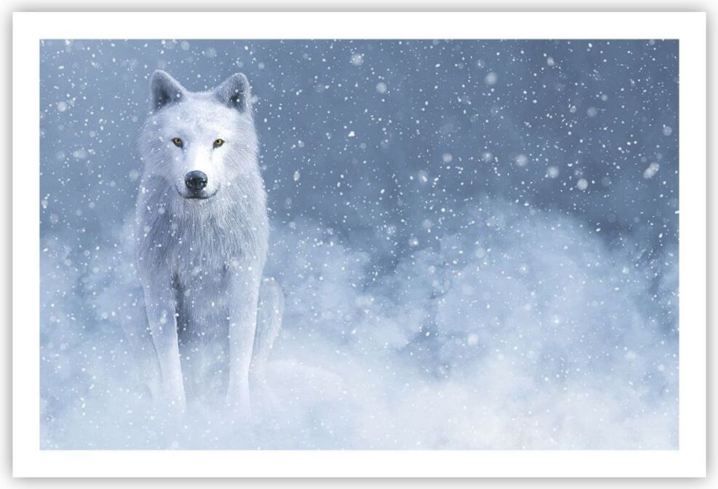 Poster - Poster ohne Rahmen - Weiß Wolf Schnee - 91,5x61 cm - Wand Bild - Wanddeko - Wandbilder - Kunstposter - Wandposter - Bilder - Kunstdruck -...