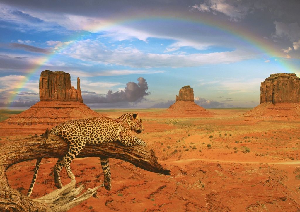 hansepuzzle 50748 - Leopard Puzzle, 260 Teile, Tierwelt, 41,0 x 28,0cm mit hochwertiger Aufbewahrung, Kartonbox und wiederverschließbarem Beutel
