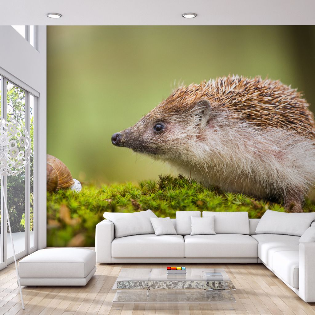 Muralo XXL Selbstklebende FOTOTAPETE Igel NATUR Moss 3D Effekt (B) 368 cm x (H) 280 cm Tapete Wandtapete WOHNZIMMER SCHLAFZIMMER 5159