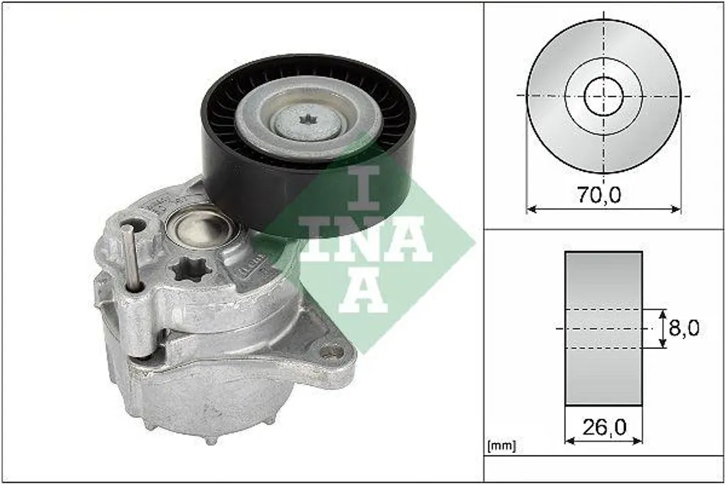 Tenditore Cinghia INA 534048110 Compatibile Jeep Cherokee 2.7 CRD