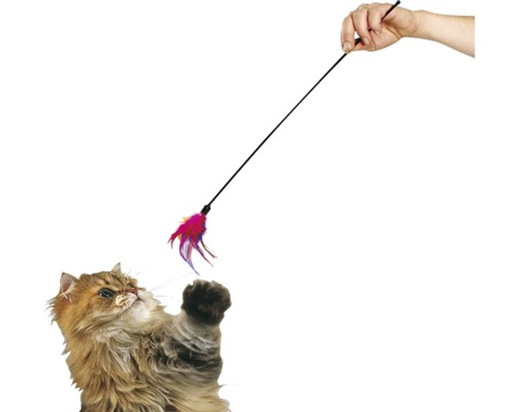 Canna da pesca giocattolo per gatti 60 cm + spolverino di Immagine del prodotto 