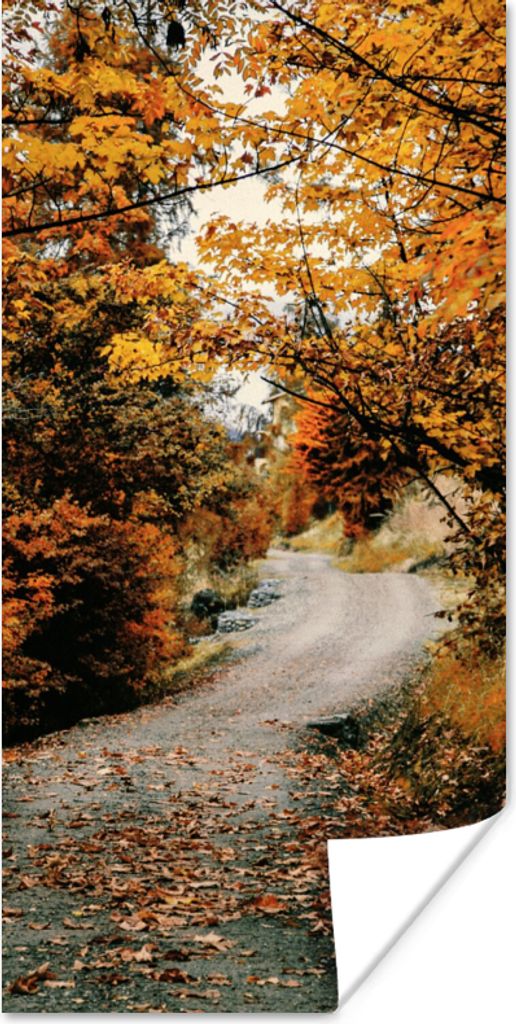 MuchoWow Poster Herbstwald - Weg - Laub - Ländlich 80x160 cm - Kinderzimmer
