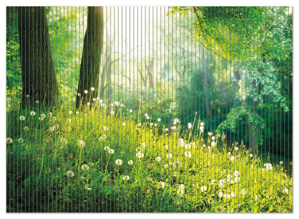 Wallario Duschmatte Antirutschmatte Badmatte Fußmatte Pusteblumen im Wald mit einfallenden Sonnenstrahlen, Größe ca. 90 x 65 cm