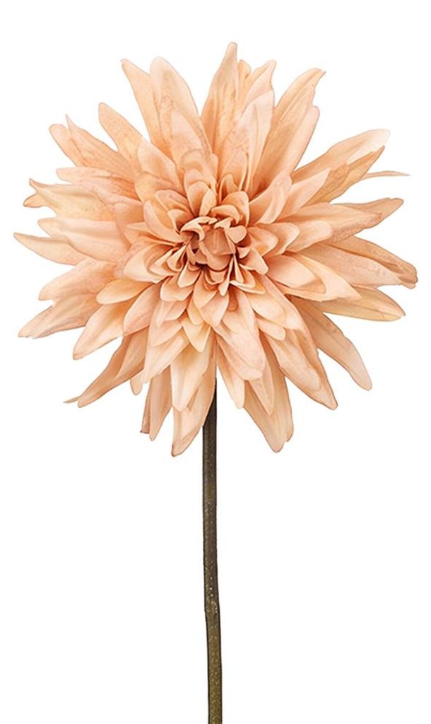 Clayre & Eef Kunstbloem, beige, kunststof Productafbeelding 