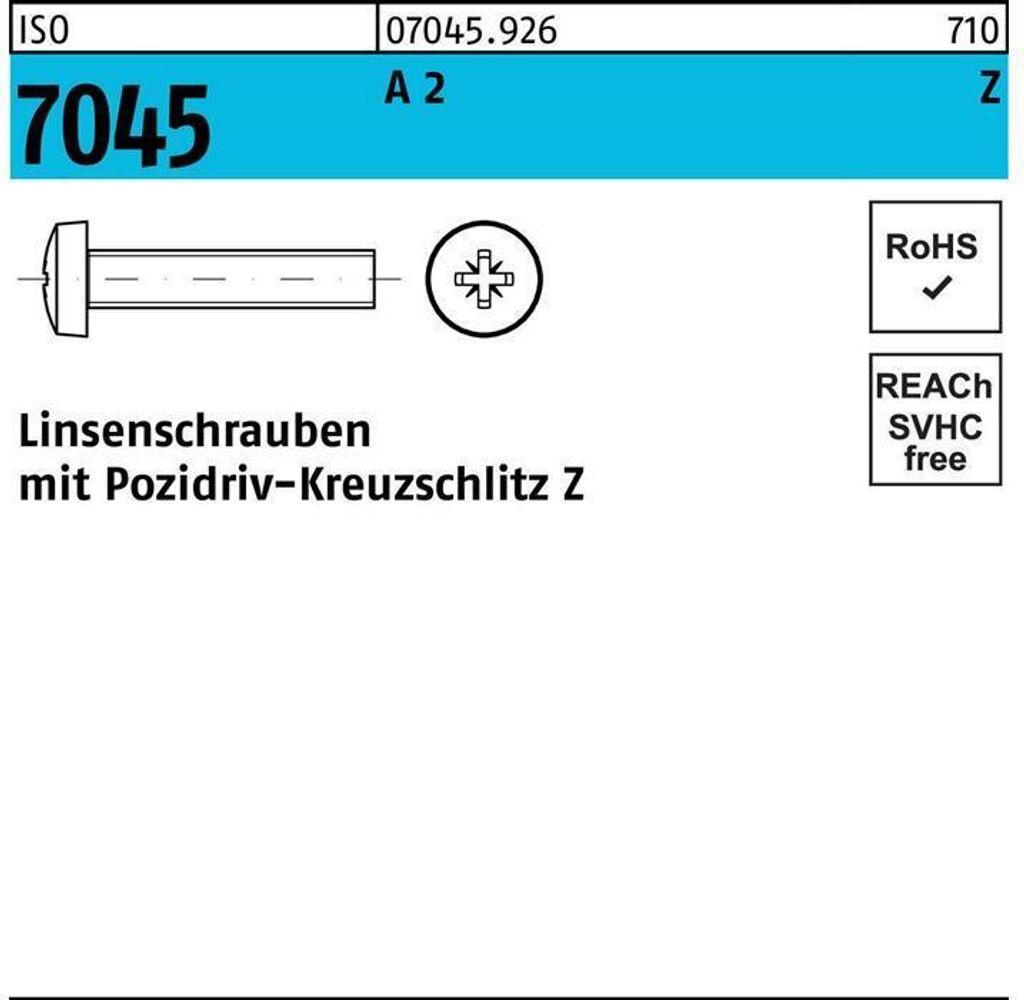 Reyher Flachkopfschrauben ISO 7045 A 2 M 6 x 55 -Z A 2 (200 Stück)