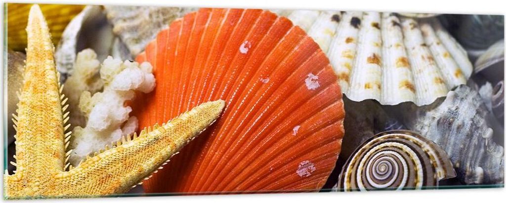 Bilder auf glas - Seashell Meer Strand Sand - 90x30cm - Glasbilder - Wandbilder - Kunstdruck - zum Aufhängen bereit - Wanddekoration aus Glas - Gl...