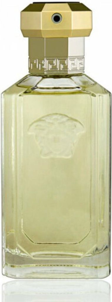 Versace Dreamer eau de Toilette für Herren 100 ml
