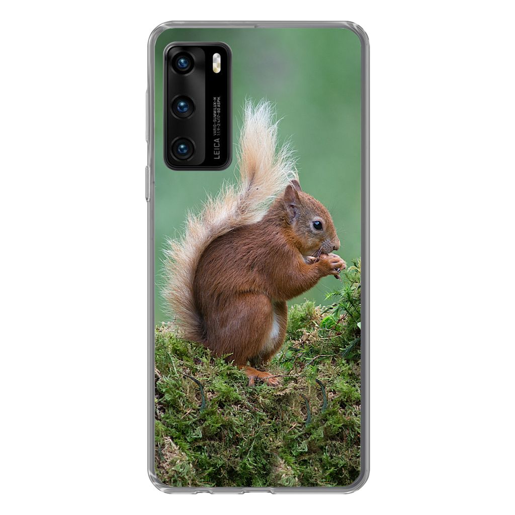 MuchoWow Handyhülle Schutzhülle Hülle für Huawei P40 Eichhörnchen - Wald - Moos Silikon Softcase Handy Hülle - Handytasche