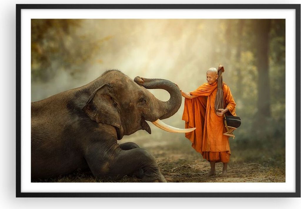 Gerahmtes Poster - Schwarzer Rahmen - Elefant Mönch Stoßzahn - 91,5x61 cm - Wand Bild - Wanddeko - Wandbilder - Kunstposter - Wandposter - Bilder...