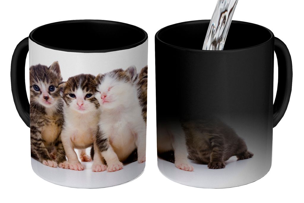 KitchenYeah Zauber Tasse Zaubertasse Magic Katze - Haustiere - Fell - Porträt 350 ml Farbwechsel Becher Geschenk Geschenkidee - Magic-Tasse - Fo...