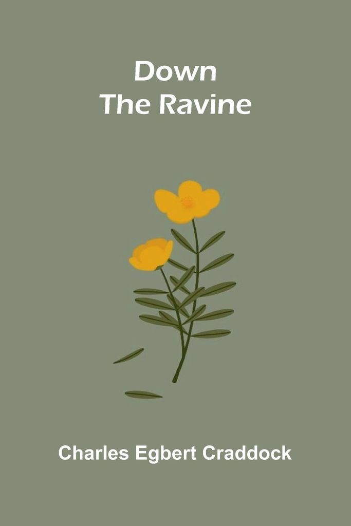 Down the Ravine