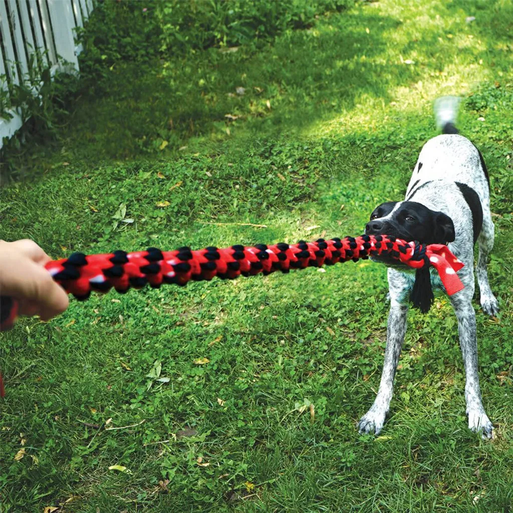 KONG Signature Rope Double Tug: Gioco a Corda Resistente per Cani - 4