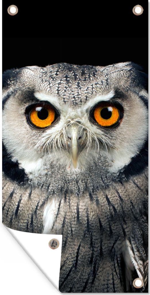 MuchoWow 40x80 cm Outdoor-Poster Gartendeko Sichtschutz Garten Poster für den Garten Eule - Vogel - Orange - Schwarz