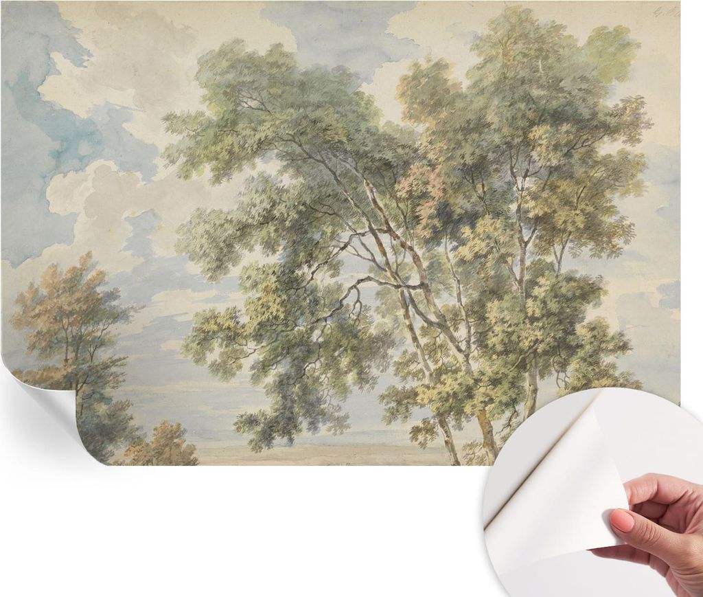 Selbstklebende Wandtapete - Dekorative Tapete für Wohnzimmer - Klebefolie für Wandbilder - Tapetenfolie für Wanddekoration - 152x104 cm - Romant...