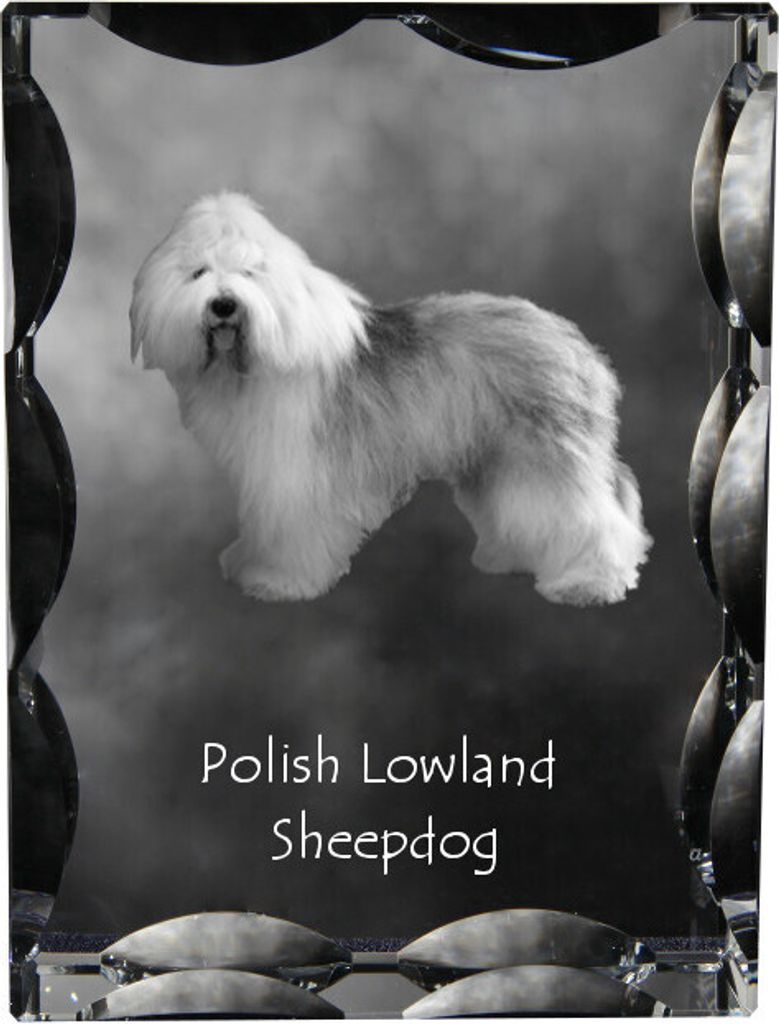 Polnischer Niederungshütehund, PON - Kristall mit einem Hundebild, Glasstatuette mit einem Bild, einzigartiger Bilderrahmen der Marke Art-Dog